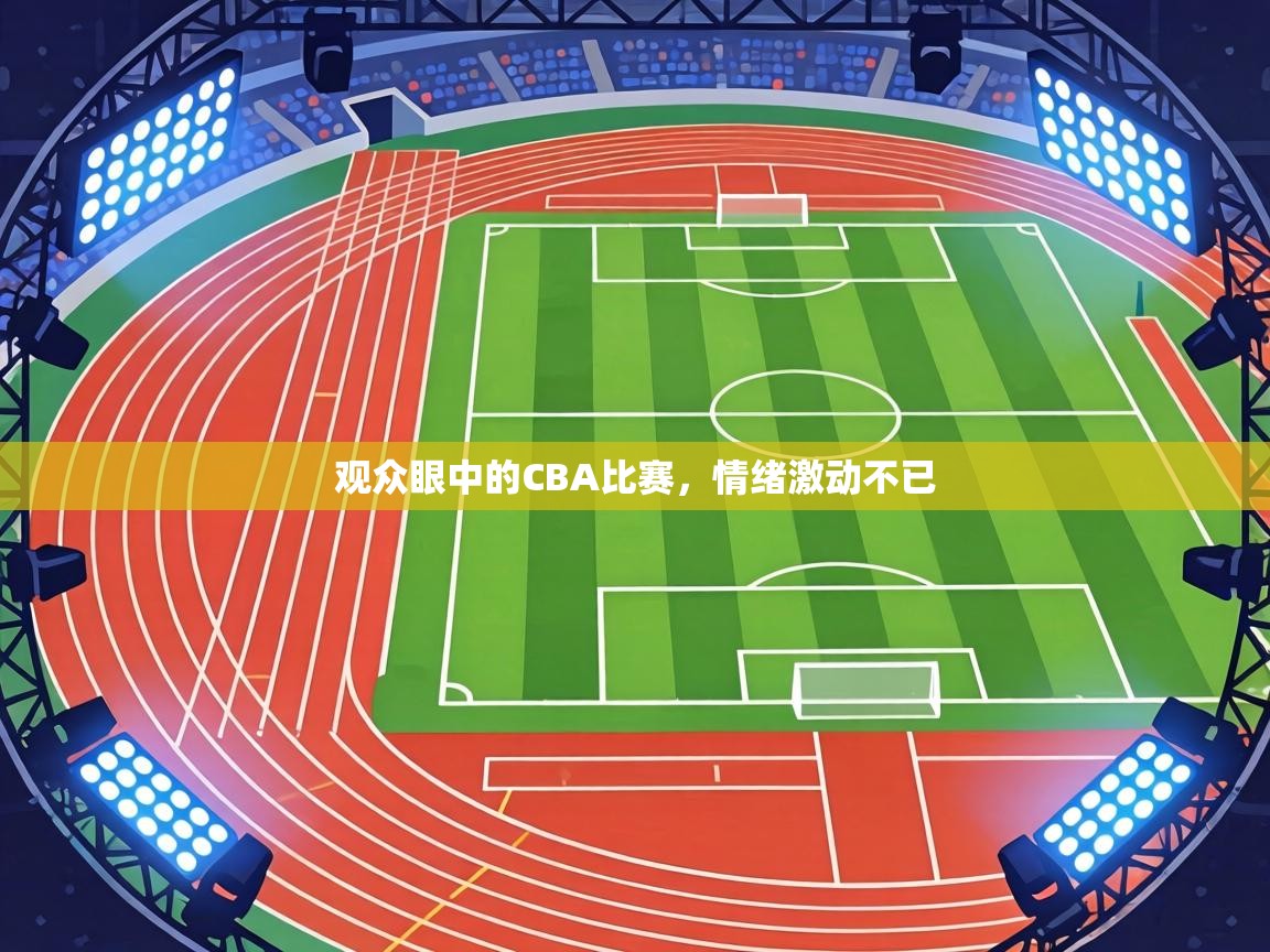 观众眼中的CBA比赛,情绪激动不已 第1张