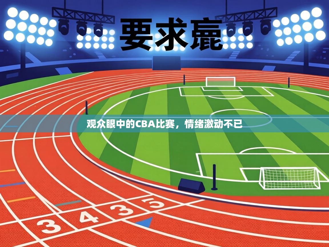 观众眼中的CBA比赛,情绪激动不已 第2张